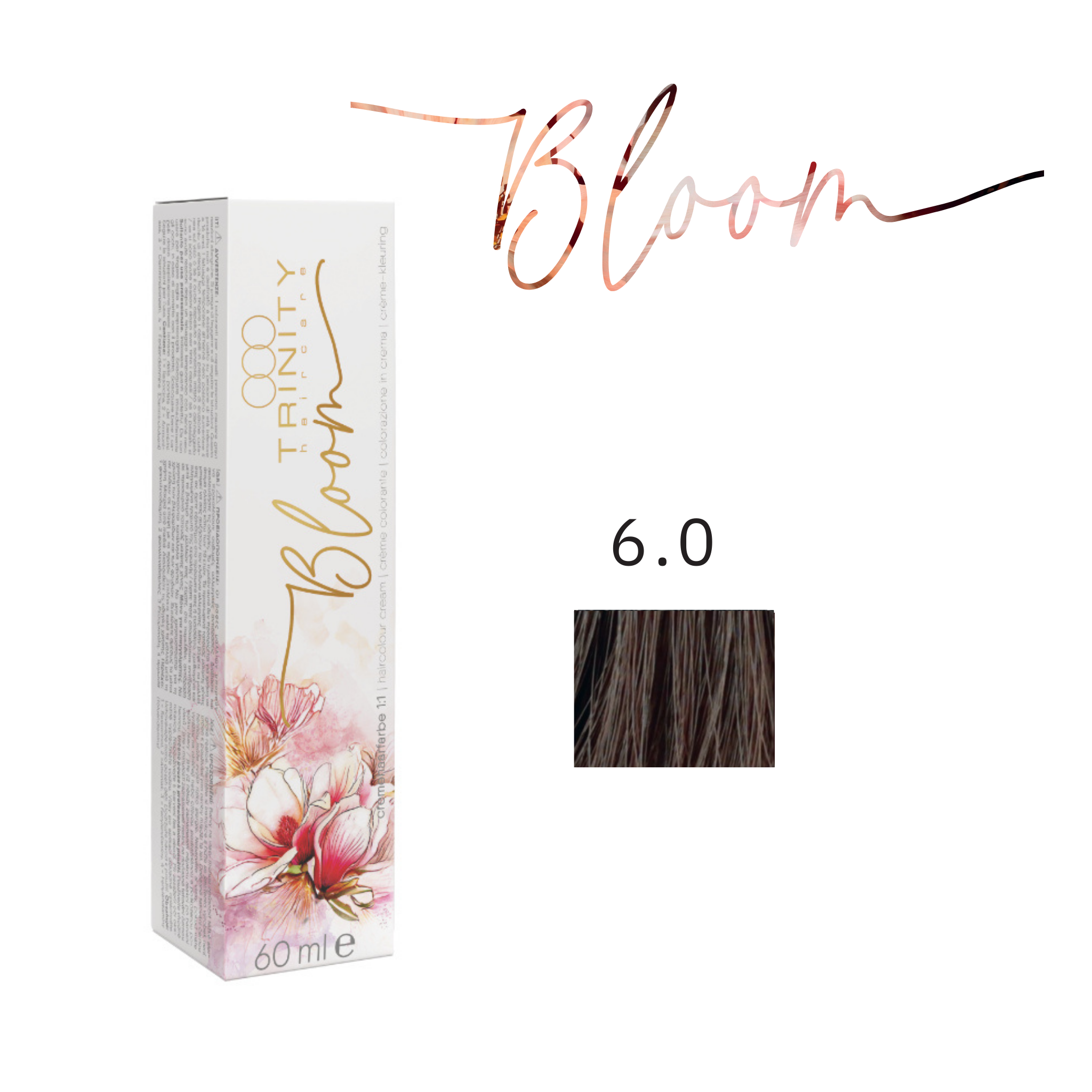 Bloom 6er